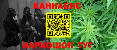 индика Ачхой-Мартан