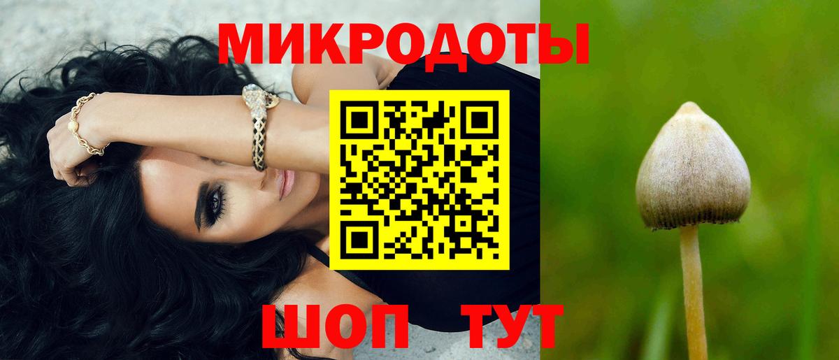 Псилоцибиновые грибы GOLDEN TEACHER Октябрьский