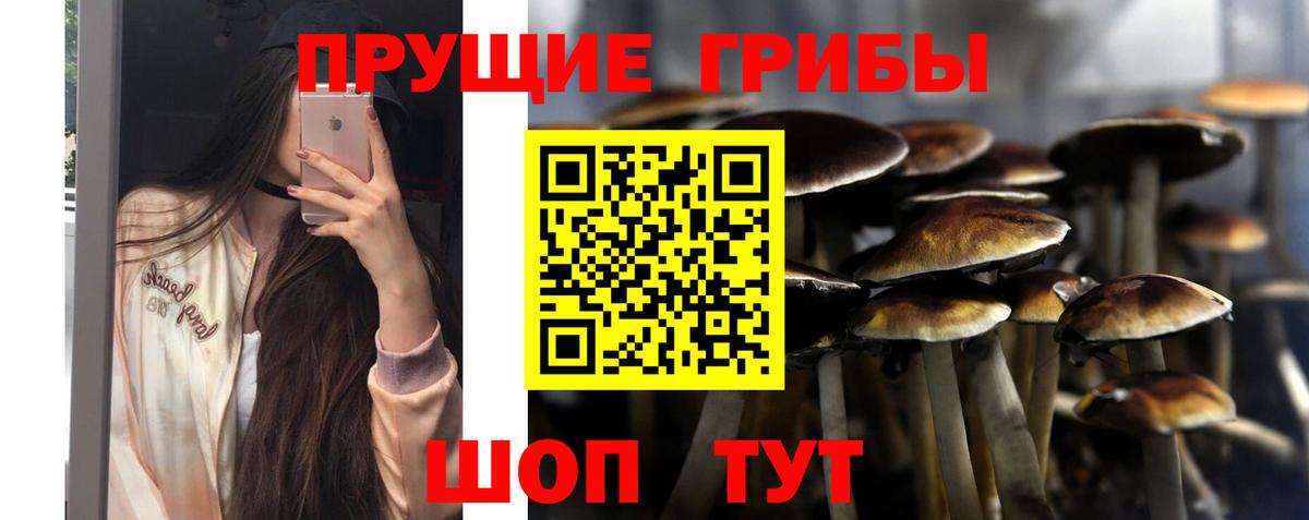 Галлюциногенные грибы ЛСД  Галлюциногенные грибы MAGIC MUSHROOMS  что такое   Вход с VPN  Октябрьский 
